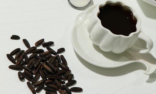 قهوه هسته خرما برای لاغری